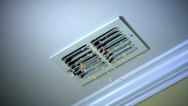 Best Ventilation Cleaning Services  in Audubon Park, KY